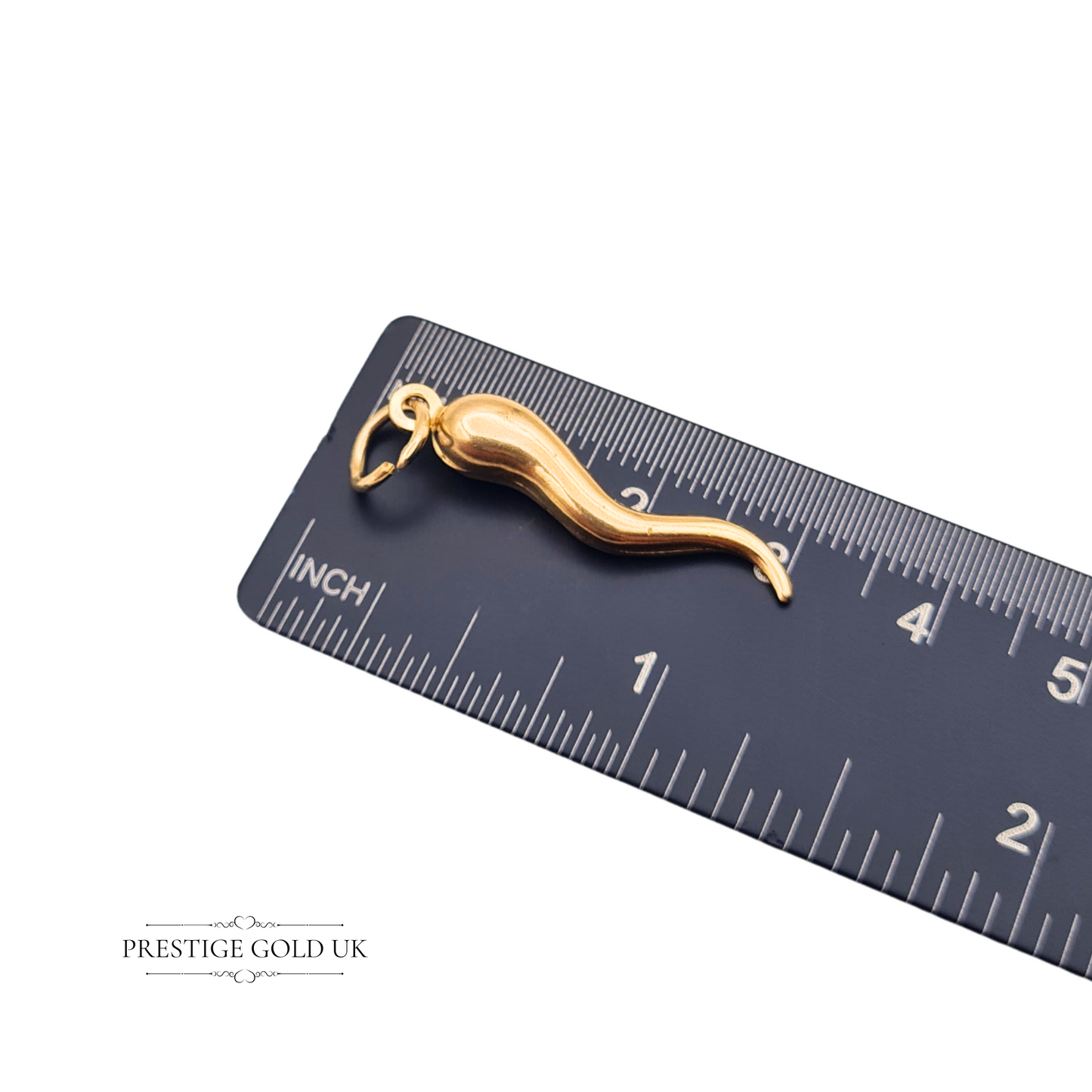 Large 9ct Gold Cornicello Pendant, Talisman Horn of Plenty Charm