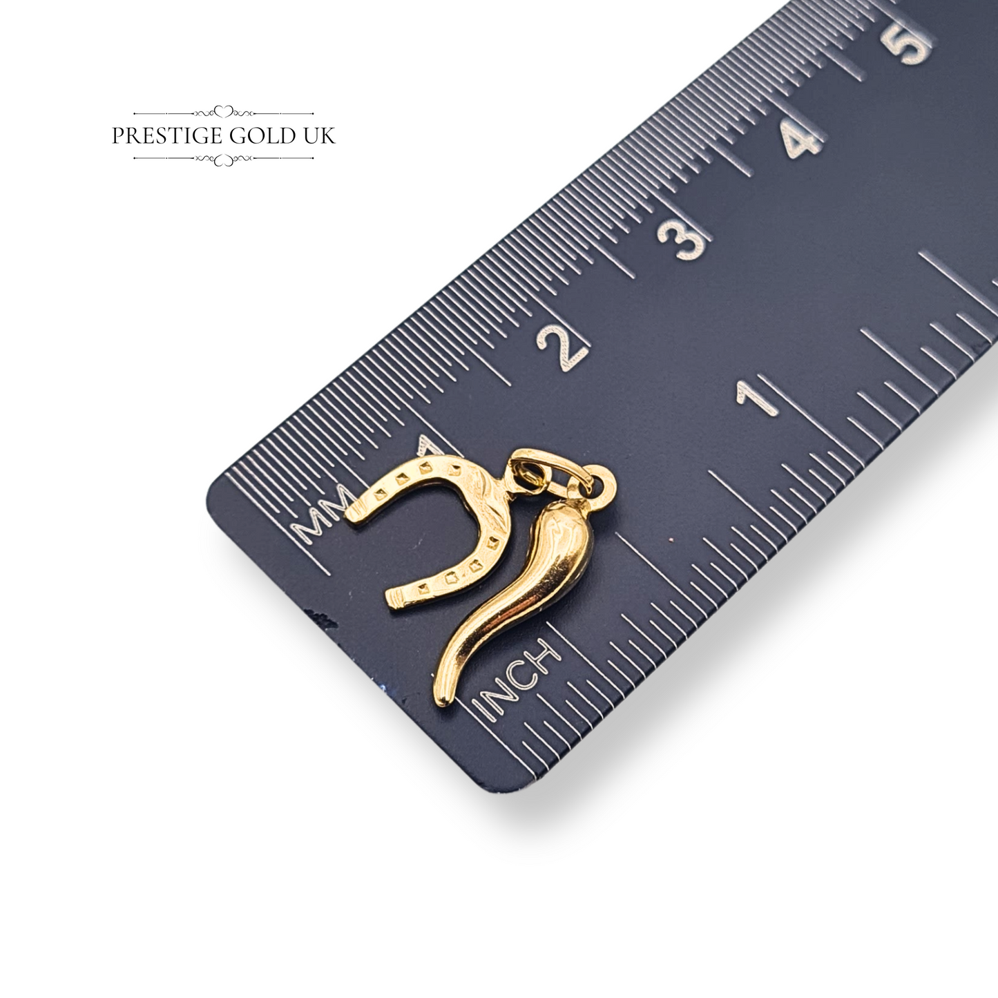 Tiny 9ct Gold Horn & Horseshoe Charm Set Lightweight Lucky Symbols
