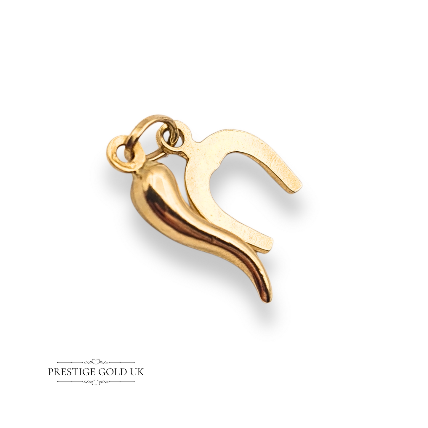 Tiny 9ct Gold Horn & Horseshoe Charm Set Lightweight Lucky Symbols