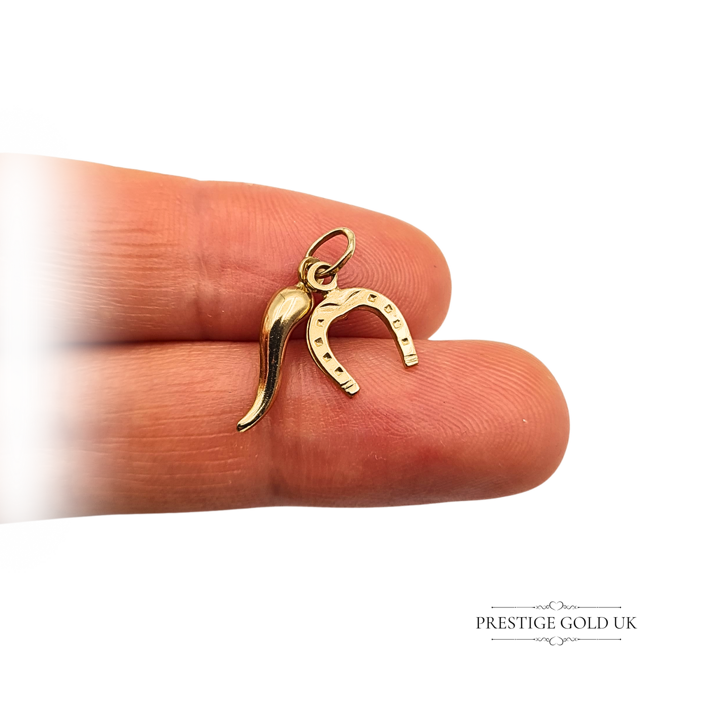 Tiny 9ct Gold Horn & Horseshoe Charm Set Lightweight Lucky Symbols