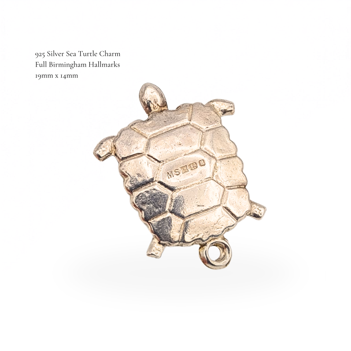 Sterling Silver Sea Turtle Charm Puffy Hollow Charm  Birmingham